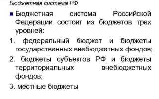 Сколько уровней в бюджетной системе рф