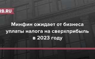Налог на сверхприбыль 2023 как считать