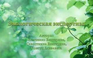 Что понимается под термином экологическая экспертиза
