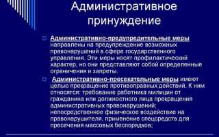 Что такое привод в административном праве