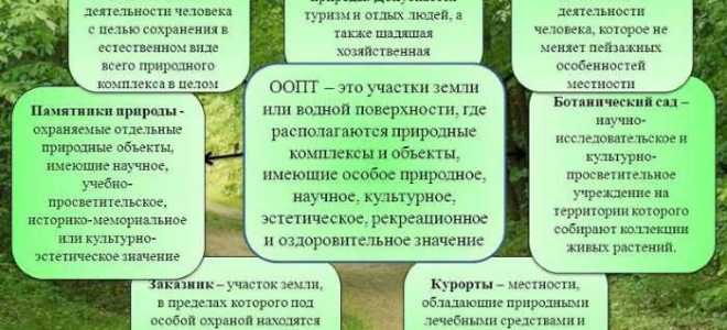 Зона окс на оопт что это