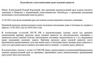 Как подать ходатайство о восстановлении пропущенного срока