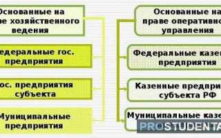 Что такое унитарное предприятие простыми словами