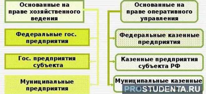 Что такое унитарное предприятие простыми словами