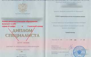 Чем отличается диплом от свидетельства об образовании