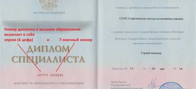 Чем отличается диплом от свидетельства об образовании