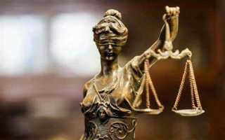 Чем руководствуется судья при вынесении решения