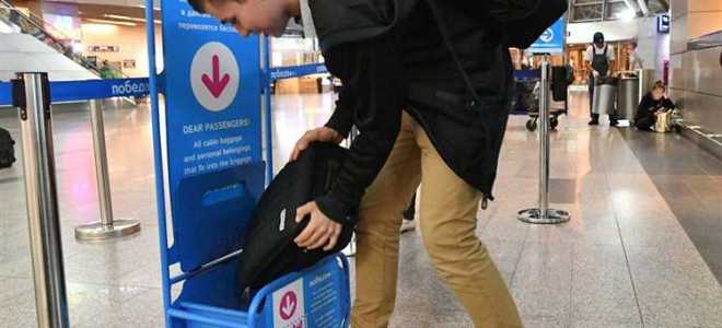 Как получить багаж в аэропорту по прилету