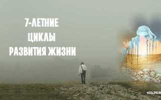 За что сидят 7 лет