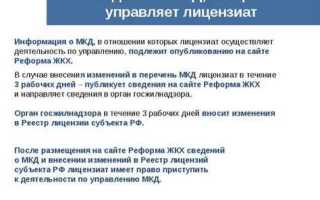 Услуги по управлению мкд что это