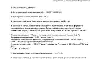 Какая лицензия выдается в качестве принудительной