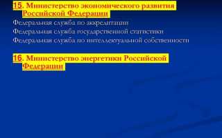 Какие органы исполнительной власти города москвы являются территориальными органами