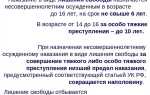 Лишение свободы на определенный срок как вид уголовного наказания