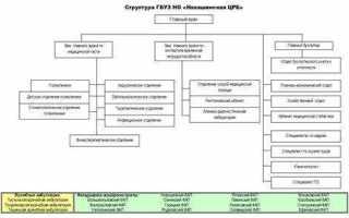 Oid медицинской организации что это
