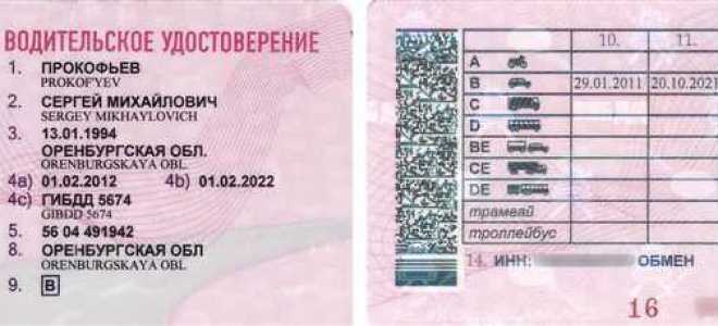 Как выглядят водительские права 2023