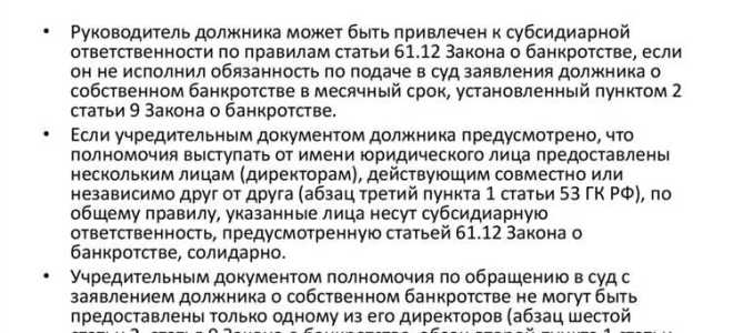 Кто несет субсидиарную ответственность по долгам казенного предприятия