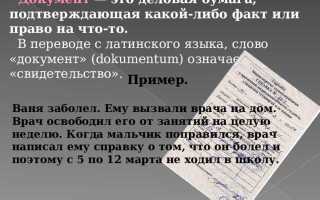 Дуп что это за документ