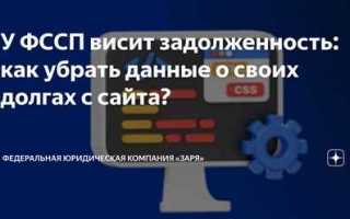 Как убрать информацию с сайта фссп если долг оплачен