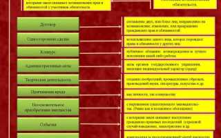 Что не включается в обязательства компании
