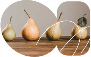 Персонифицированный учет с какого года начался