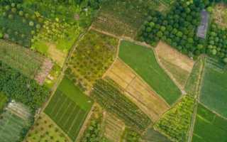 Снт это земли какого назначения