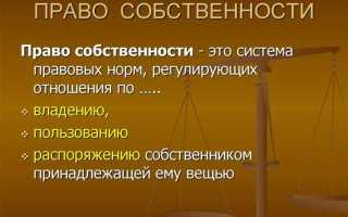 Чем отличается правообладатель от собственника
