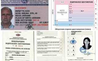Что такое национальное водительское удостоверение