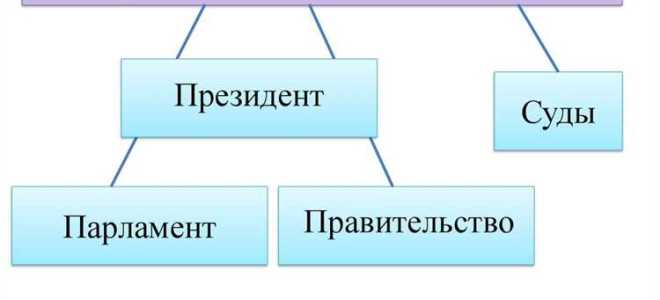 Гос дума какая ветвь власти