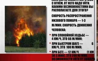 Кто тушит лесные пожары согласно законодательству