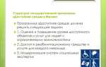 На какой период разработана программа доступная среда