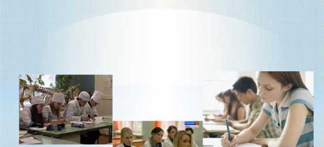 Начальное профессиональное образование и среднее профессиональное образование в чем разница