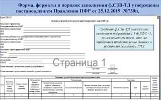 Какие отчеты сдаются в сфр