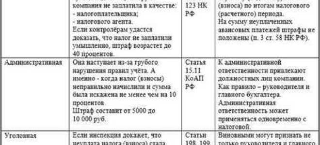 Что такое недоимка по страховым взносам