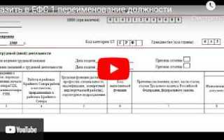 Ефс при увольнении 2023 как заполнить