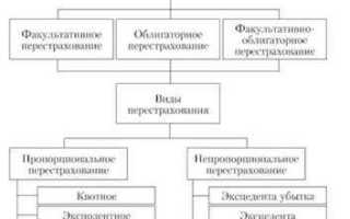 На кого возлагается ответственность в перестраховании