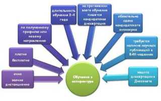 Что такое соискательство в аспирантуре