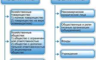 Кто является юридическим лицом примеры