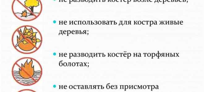 Что нельзя делать в заказнике