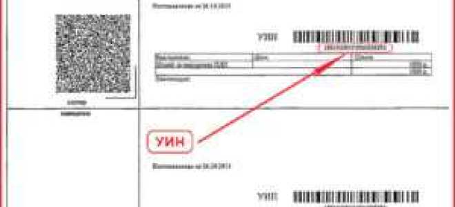 Как узнать уин для оплаты административного штрафа по фамилии