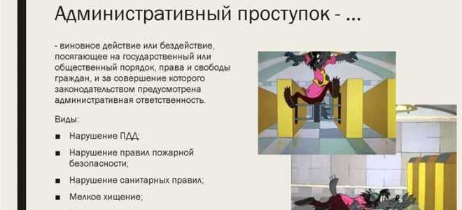 Какие виды правонарушений выделяют ученые правоведы