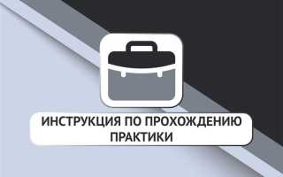 Прохождение практики в организации как оформить