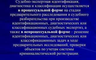 Что называют объектом экспертизы и в чем его значение