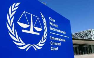 Сколько уголовных дел доходит до суда