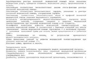 Что такое медико экономический контроль