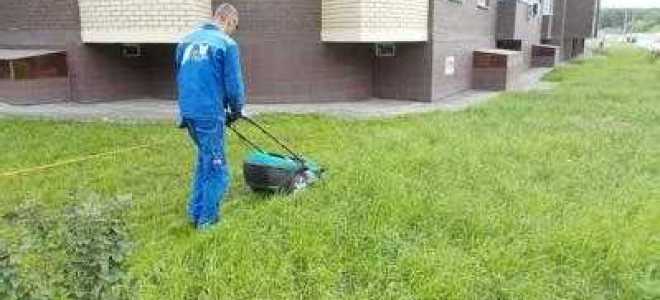 Уборка прилегающей территории сколько метров от здания