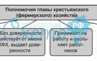 Что такое кфх в налоговой