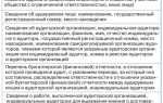 Аудиторское заключение куда предоставлять в 2022 году