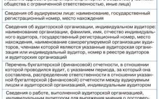 Аудиторское заключение куда предоставлять в 2022 году
