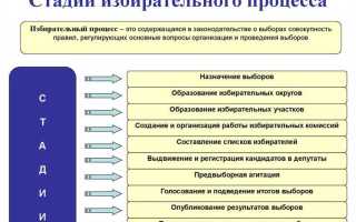 Что не является стадией избирательного процесса