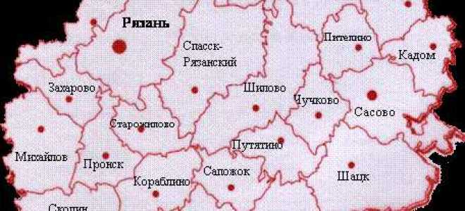 Сколько районов в рязанской области